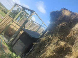 Hay for sale