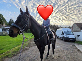 Super safe schoolmaster