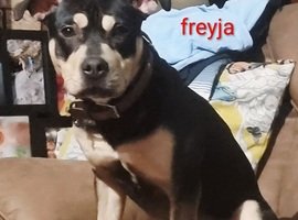 Home needed for young girl