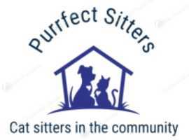 Purrfect sitters SE London