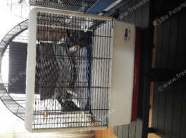 Brand new bird cage