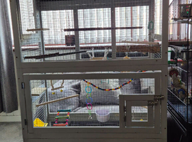 Beautiful budgie cage