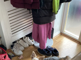 Sweet Yorkshire Terrier &ndash; Daisy, 3 Years Old