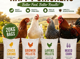 Chicken food / poultry suplies /