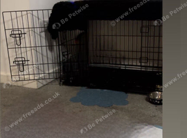 Medium size dog crate new