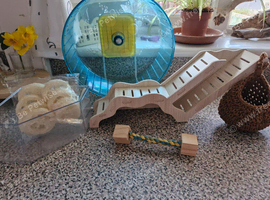 Hamster accessories