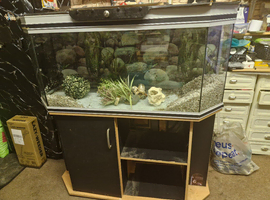 4ft fishtank and stand