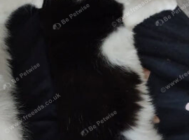 Female black and white