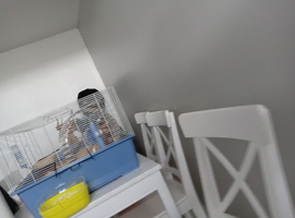 Hamster cage with loads of extras