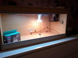 3ft viviaurm for bearded dragon pick up only