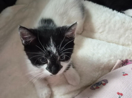 Female black and white