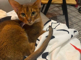 Please find Rusty