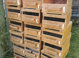 Breeding/travel/quarantine boxes