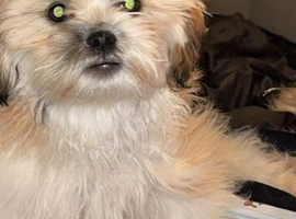 Winnie