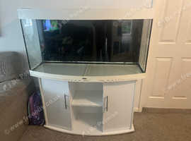 Fish Tank