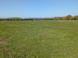 9 acres of summer grazing available