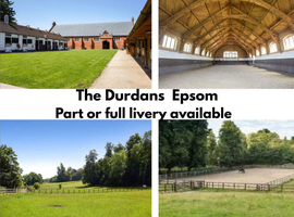 Part or fully Livery close to Epsom Downs .