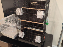 Bird Cage XL