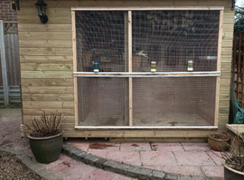 Looking to re-home your aviary birds.