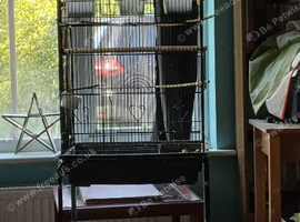 Cage and stand available