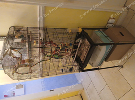 Large Birdcage and accessories on wheeled stand
