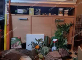 Vivexotic Bearded Draqon/RePtile Tank & Accessories