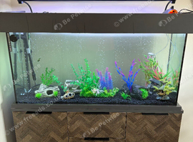 Aqua one 230 fish tank / aquarium. Cabinet, Fluval filter and accessories