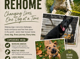 Rehab and rehome