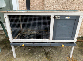 Guinea pig hutch