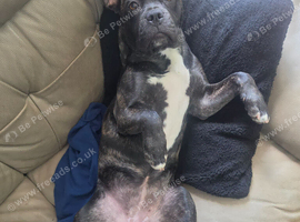 Luna