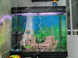 Fish tank