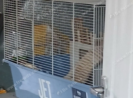 Hamster and full set up