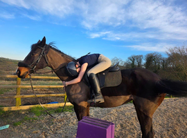 LOOKING TO LOAN A HORSE/PONY.