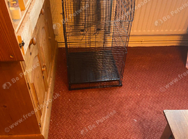 Brand new large cage