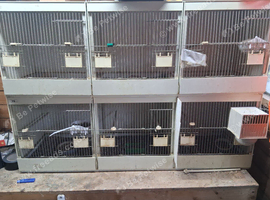 Plastic triple cages used cages