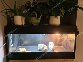 3ft Vivarium with accessories