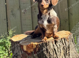 Lovely little lad