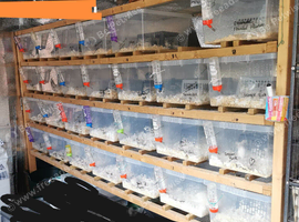 35 tub rack