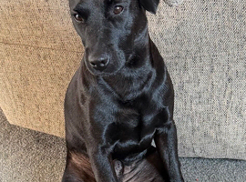 Patterdale