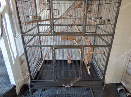 Bird/parrot cage