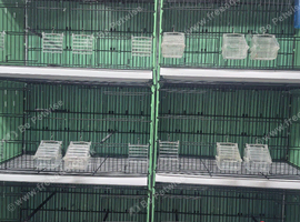 6 nice cages
