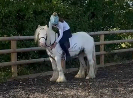 Traditional Cob
