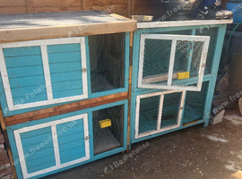 Rabbit/chicken hutch FREE