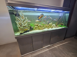Large Tank with Stand