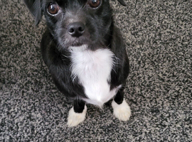 Rehome