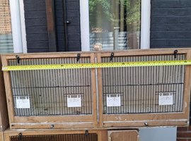 Double canary breeding cages