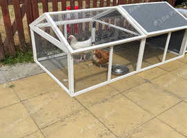 Chicken / rabbit house