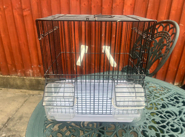 Canary sing cage