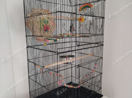 Bird cage