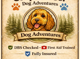 Dog Walking and Pet Services